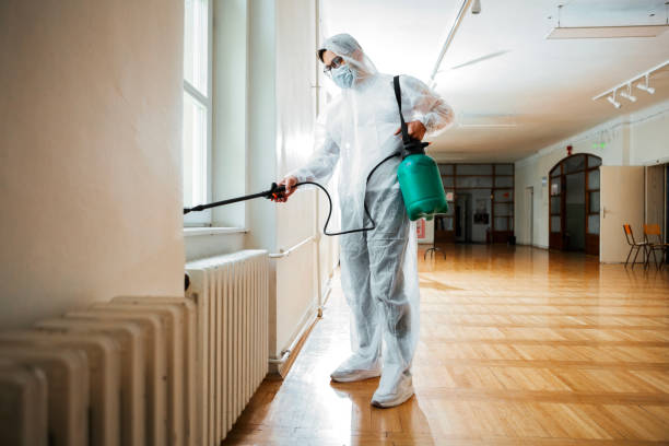 Real Estate Pest Inspections in South Taft, CA